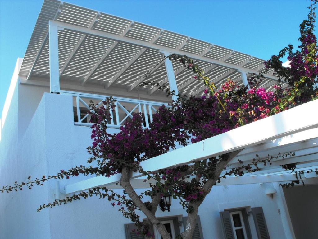 Milos Bay Suites آداماس المظهر الخارجي الصورة
